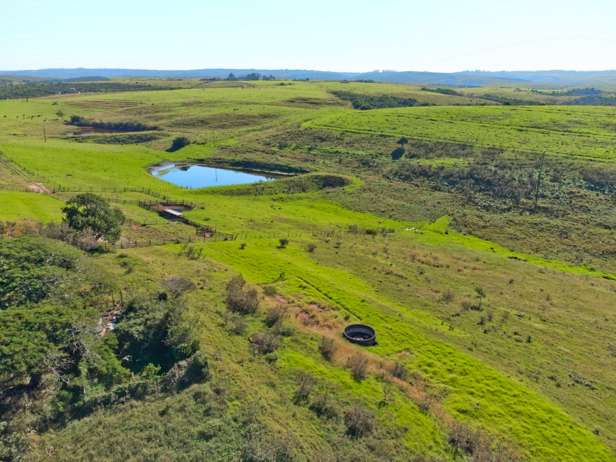 5 Bedroom Property for Sale in East London Rural Eastern Cape